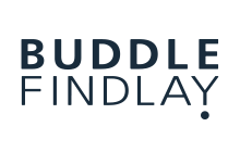 Buddle Findlay The Point 2024 Sponsor Logo