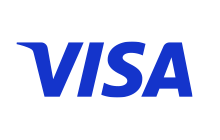 Visa The Point 2024 Sponsor Logo